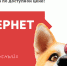 Вкусный: новый тарифный план ТТК для жителей Новомосковска украсит ваше лето - ИА Новомосковск Сегодня