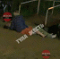 В пруду Центрального парка Тулы утонул мужчина - ЗА Новомосковск