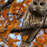 InShot_20241113_162059889 - ЗА Новомосковск