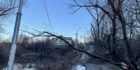 5332298895981667689 - ЗА Новомосковск