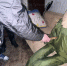 WhatsApp Image 2024-11-27 at 12.46.50 - ЗА Новомосковск