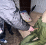 Новомосковец входе пьяной ссоры зарезал своего знакомого - ИА Новомосковск Сегодня
