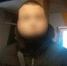 InShot_20241206_132424403 - ЗА Новомосковск