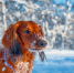InShot_20250104_165055504 - ЗА Новомосковск