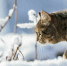 InShot_20250205_155145385 - ЗА Новомосковск