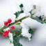 InShot_20250206_143157405 - ЗА Новомосковск