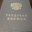 Правительство России создает справочник востребованных и перспективных профессий - ИА Новомосковск Сегодня