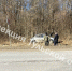 62 км Тула — белев (2) - ЗА Новомосковск