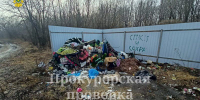 5415866894998698423 - ЗА Новомосковск
