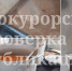 Прокуратура заинтересовалась информацией о полчищах тараканов в Узловском детсаду - ИА Новомосковск Сегодня