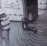 WhatsApp Image 2025-04-01 at 11.42.12 - ЗА Новомосковск