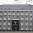 Собаки загрызли овец на нутриевой ферме под Богородицком: прокуратура начала проверку - ИА Новомосковск Сегодня