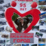 Конкурс тематических фотозон «Новомосковск.Версия 95!» - Комитет по культуре г. Новомосковск