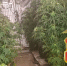 2025-07-22_16-46-39 - ЗА Новомосковск