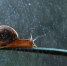 InShot_20250901_182625601 - ЗА Новомосковск