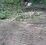 Снимок экрана 2025-09-09 150222 - ЗА Новомосковск