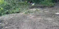 Снимок экрана 2025-09-09 150222 - ЗА Новомосковск