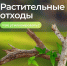 ООО «МСК-НТ»: растительным отходам не место на контейнерной площадке - ЗА Новомосковск