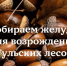 «Экологическая защита» объявила  сбор желудей для возрождения Тульских лесов - ИА Новомосковск Сегодня