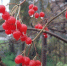 погода осень дождь - ЗА Новомосковск