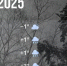 Bazaart_22FFC832-6FDD-453C-AEC2-87AE0C58CFBC - ЗА Новомосковск