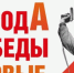 2025-12-12_11-34-06 - ЗА Новомосковск
