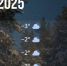 Bazaart_433688E0-BADD-485C-A3BC-BC188D540E6F - ЗА Новомосковск