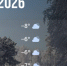 Bazaart_DA193E0F-85E9-4C89-A86D-844CAA96A761 - ЗА Новомосковск