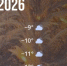 Bazaart_AA8A13C8-8BD8-4FD7-814D-89CB0C0FDC56 - ЗА Новомосковск