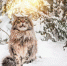 InShot_20260203_132717747 - ЗА Новомосковск