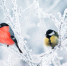 InShot_20260205_132326802 - ЗА Новомосковск