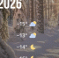 Bazaart_54B2C2BF-0176-4AC3-9FCD-24A12BEC3901 - ЗА Новомосковск