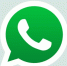 WhatsApp* полностью заблокировали в России - ИА Новомосковск Сегодня