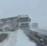 5231368770847183639 - ЗА Новомосковск