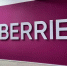 На Wildberries запустилась площадка для перепродажи товаров - ИА Новомосковск Сегодня