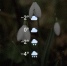 Screenshot - ЗА Новомосковск