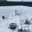 10fda0f8-e2d3-41fc-85d5-368f495b1236 - ЗА Новомосковск