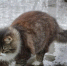 InShot_20260303_140728722 - ЗА Новомосковск