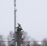 интернет вышка - ЗА Новомосковск