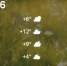 Screenshot - ЗА Новомосковск