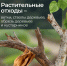 1 - ИА Новомосковск Сегодня