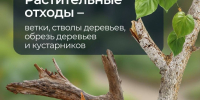 1 - ИА Новомосковск Сегодня